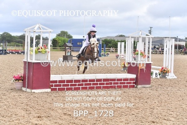 BPP_1728 - DERBY CLASS 4 - 50CM