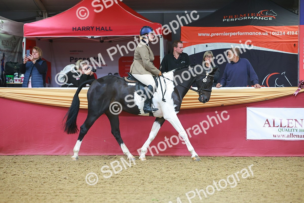 SBM_09614 - Class 102 - HOYS Veteran Qualifier - Ridden Veteran