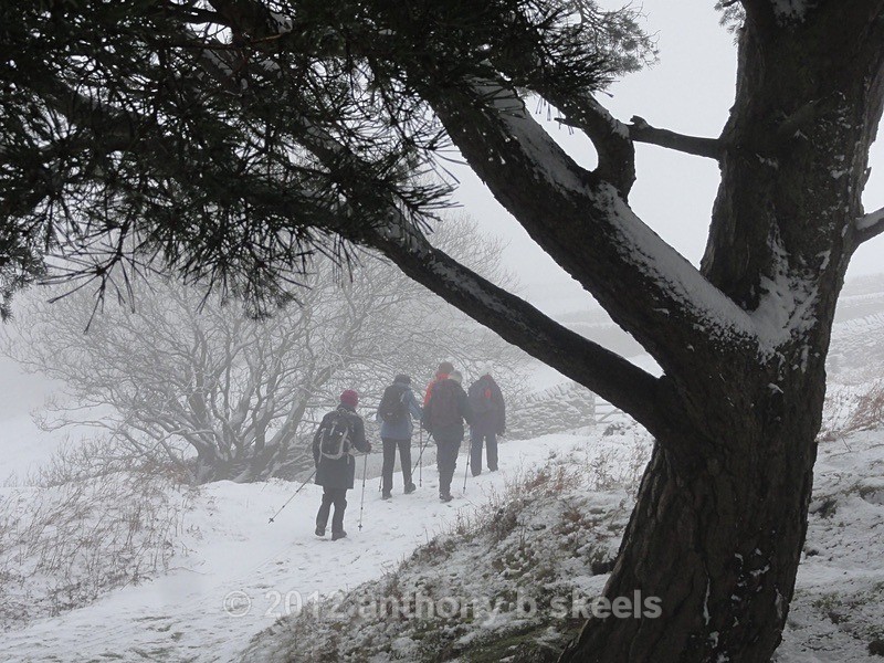 053 Close to Wath Road. - Third Saturday Walks Collection Two.