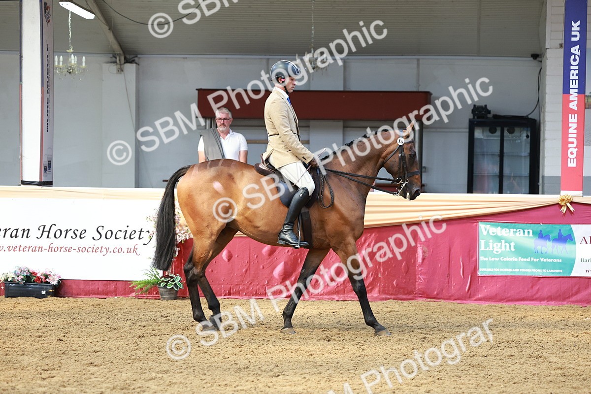 SBM_14931 - Class 108 - Ridden Retired Racehorse