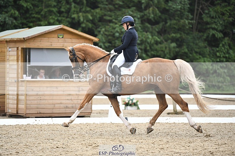 240720-160731-06405 - 187-Clare_Smith-Dori_Dragon_Fly