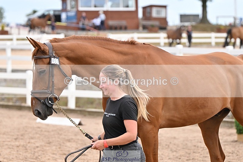 250716-151440-01817 - Trot Up 2.30 to 3.30