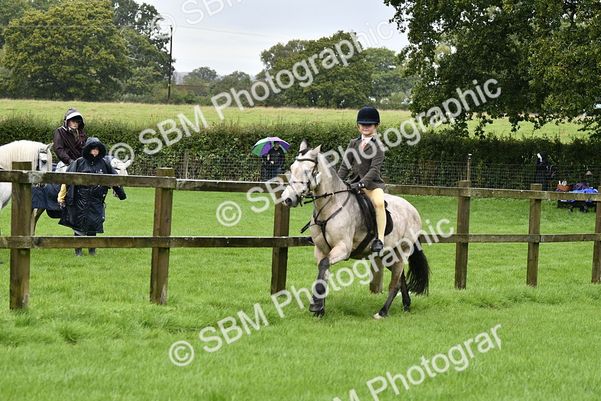 SBM_35541 - S30 - Nursery Stakes Working Hunter Pony