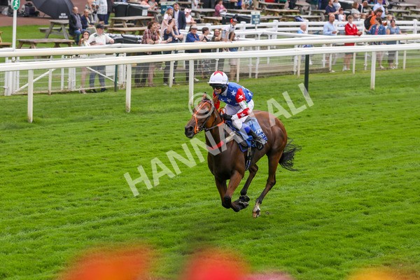 100923-Pony Race 1-Seal The Deal-3653 - Pony Race 1 12.25 The Dragon (TV and Film) Studios Pony Race 148cm & Under