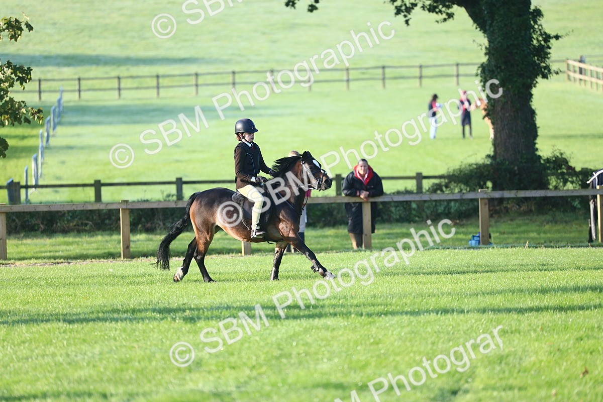 SBM_31889 - S28 - Nursery Stakes Working Hunter Pony