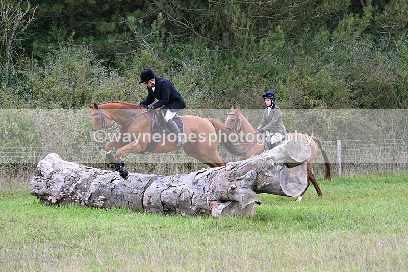 WJ7_3871 - Camera 1 Line 1