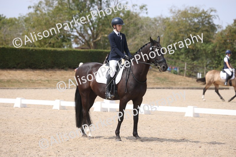 20260816-1071 - Class 4 - Novice 6
