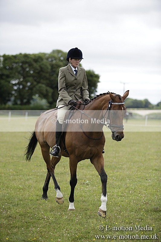 BVR160717-455 - Ring 1 BVRC Show 16/07/17