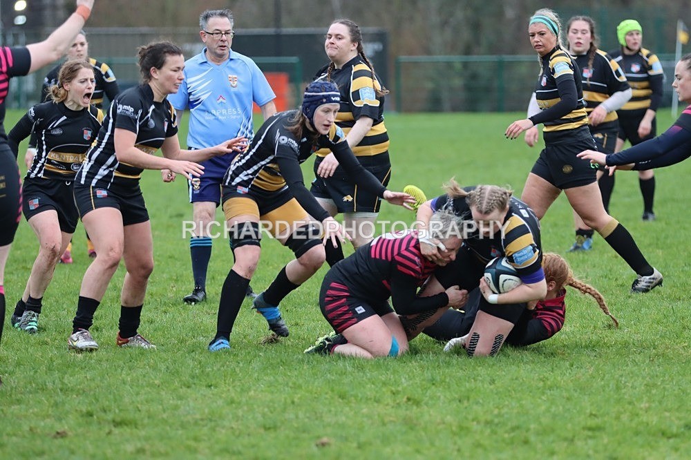 IMG_4514 - Kendal Ladies Wasps