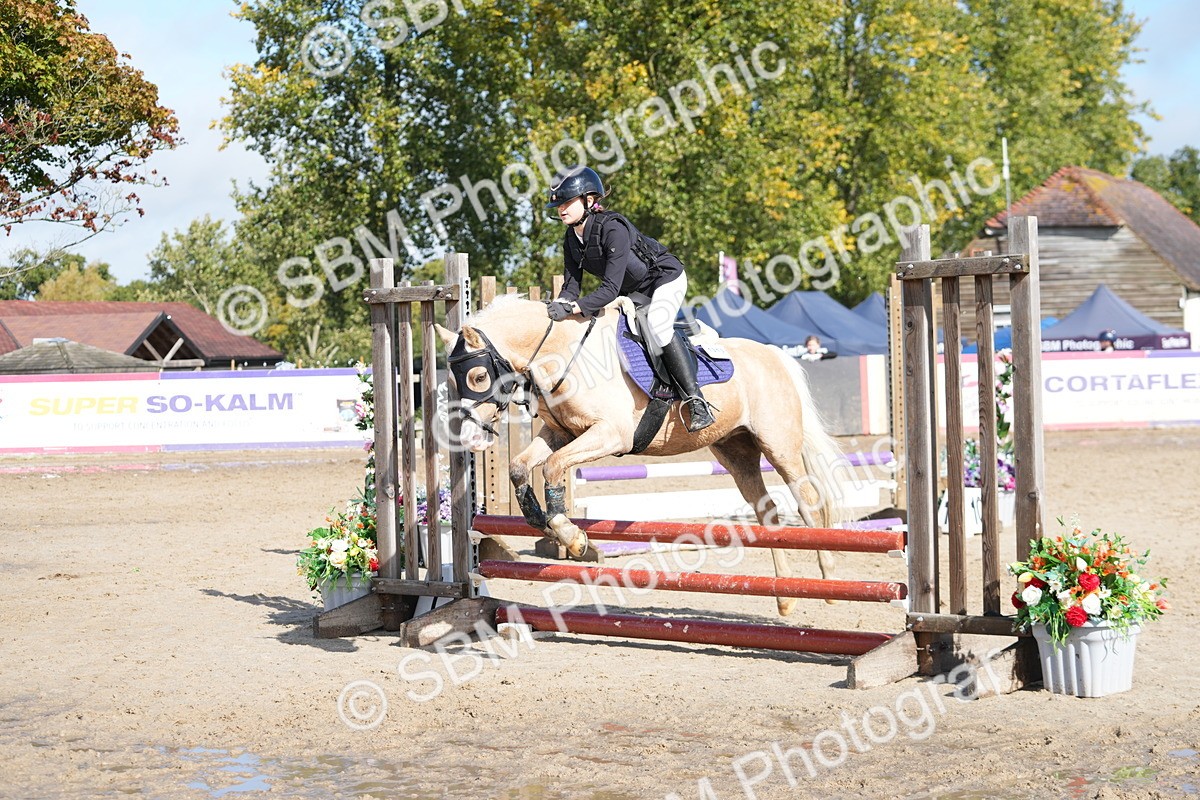 SBM_38491 - J6 - Junior Pony 55cm Championship