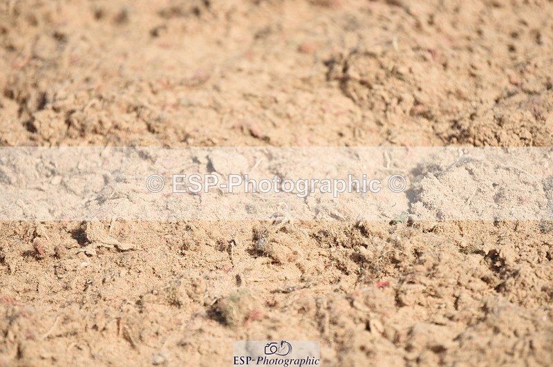 230906A-125632-00378 - Newcomers & 1.10m Open