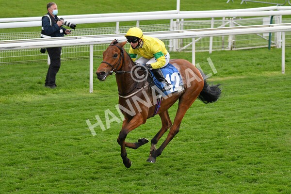 yr14052021r5-31 - Race 5 3.40pm The Jigsaw Sports Branding Handicap