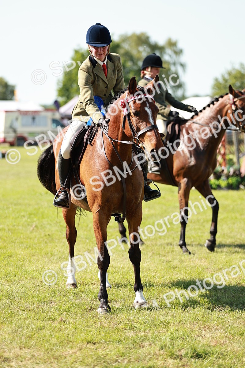 SBM_18945 - Class 114 - RIHS & SEIB Open Working Show Horse