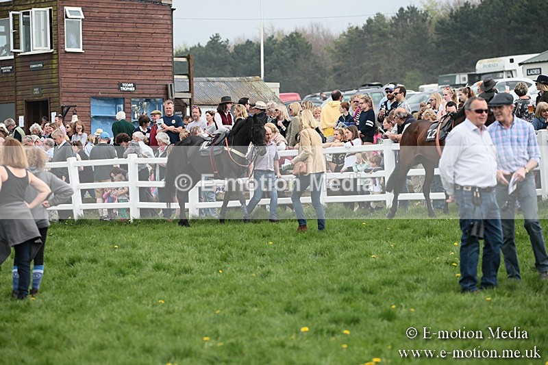 PtP 210418 172 - South & West Wilts Point-to-Point Larkhill 21/04/18