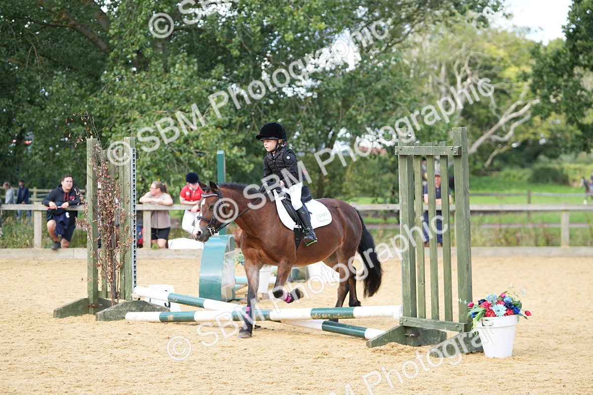 SBM_64441 - J2 - Mini Tour Junior Pony 30cm Championship