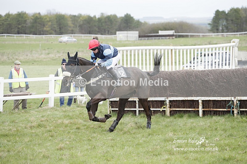 PtP 260323 0475 - New Forest Hounds Point-to-Point Larkhill 26/03/23