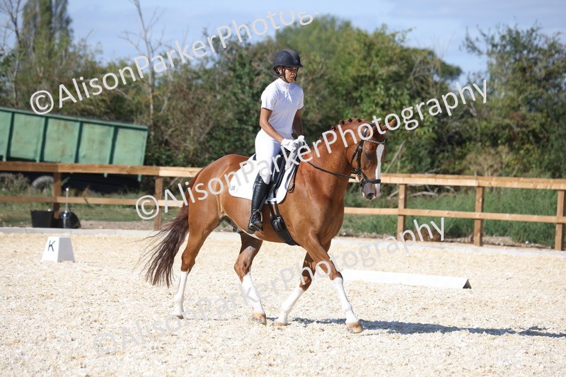 20260905-1531 - Class 5 - Novice 2