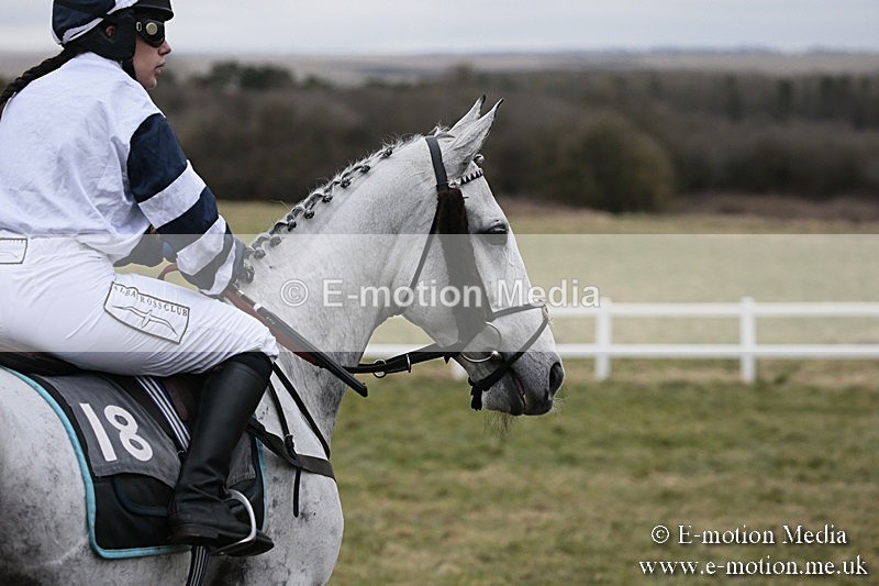 PtP 180218 488 - Combined Services Point-to-Point Larkhill 18/02/18