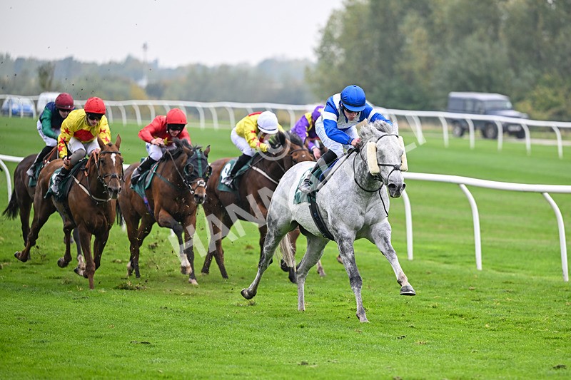 181025-Race 5-Mudamer-0834 - Race 5