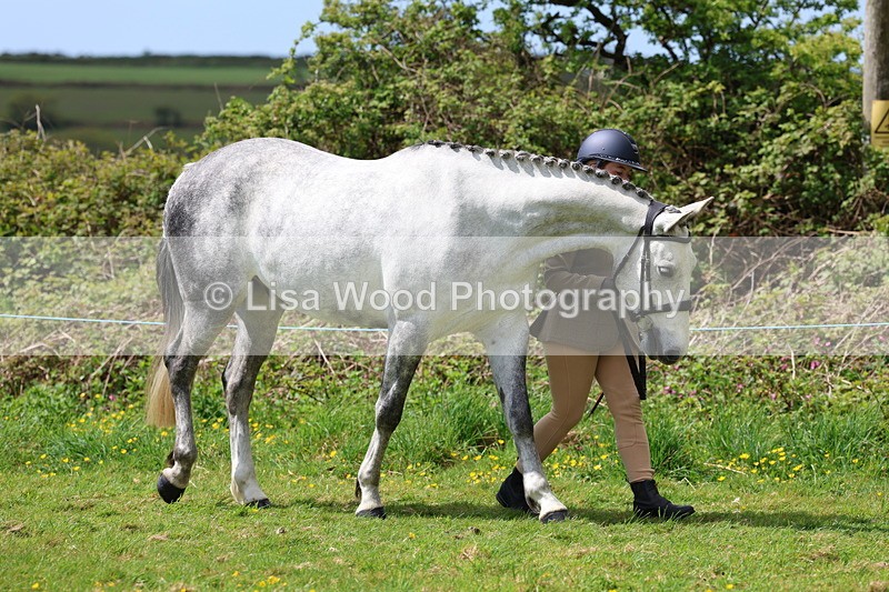 3E7A0434 - Class 20: Sports Horse