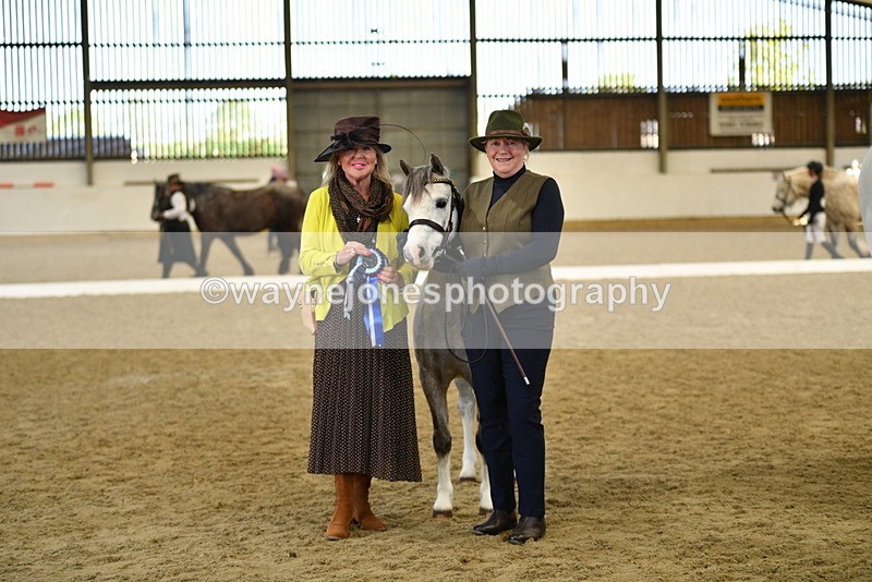 WJ5_4111 - Class 2 Best Condition In hand