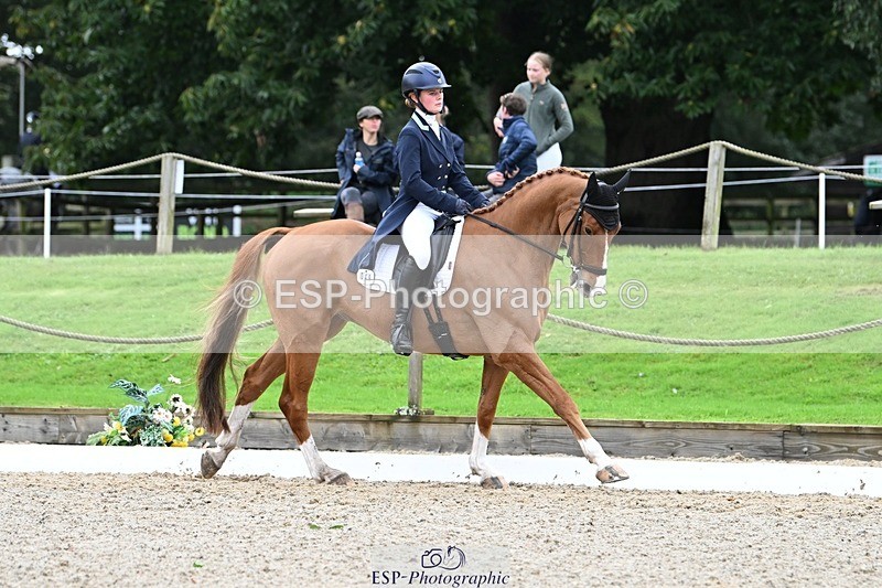 231019-130428-02930 - 049-AUGUSTUS.IMPERIOUS-Ines.Mitchell-DR