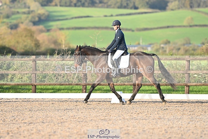 231105-153420-03071 - Cls 4 Novice 24 15.24 to 16.35 break