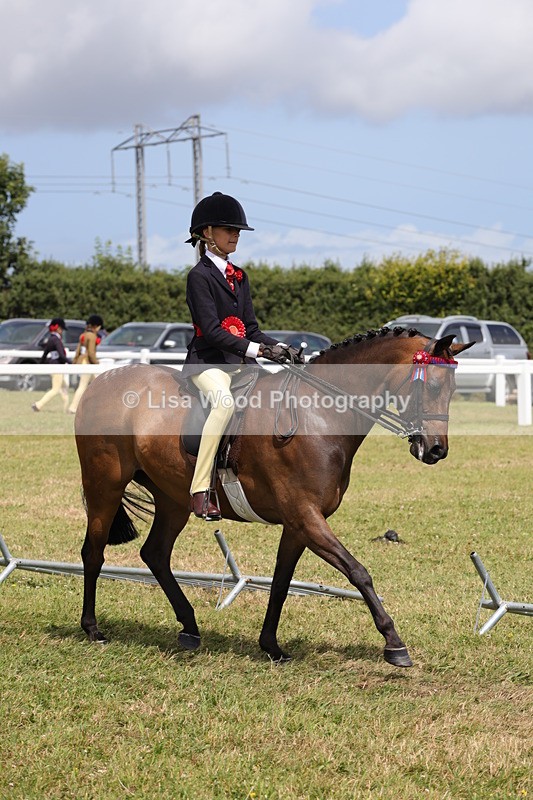 1X9A4221 - Plaited Ridden Championship
