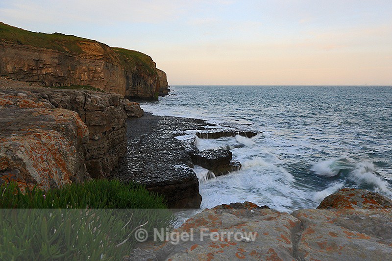 Dancing Ledge in late afternoon light - Dorset, England