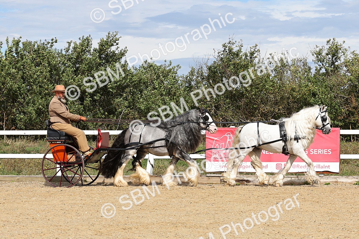 SBM_001270 - Class 16 - Pairs ,Multiples and Tandems