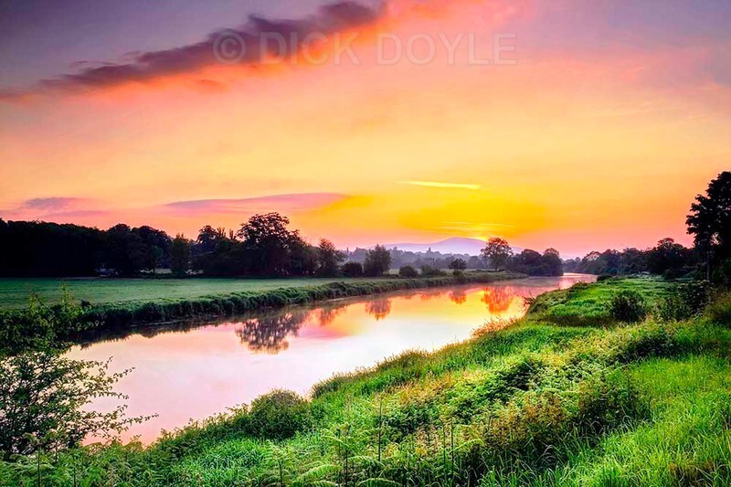 MORNING GLORY SLIEVENAMON-Edit