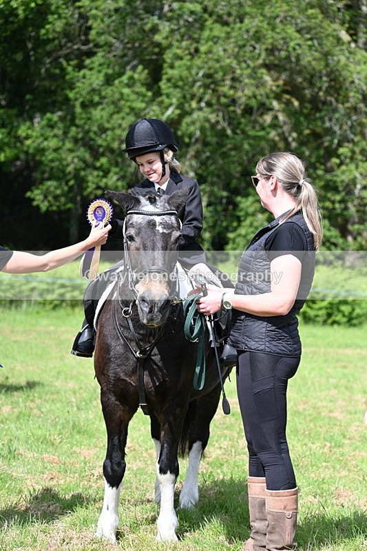 WJ7_0895 - Class 8 First Rally Pony