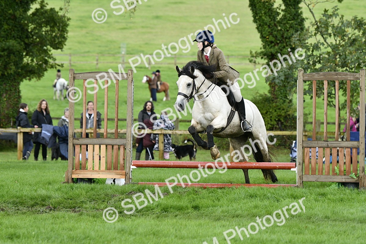 SBM_41518 - S32 - Mountain & Moorland Working Hunter Pony