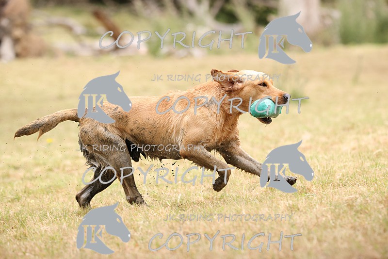 2R6A3543 - ​TEAM A: BORDER COUNTIES & COTSWOLDS 1-2-3