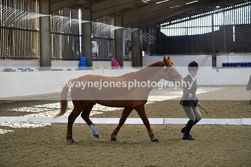 WJ5_3671 - Class 5 In Hand Veterans