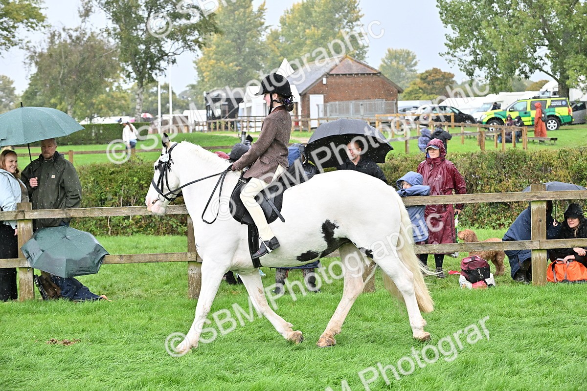 SBM_43024 - S12 - Family Horse & Pony