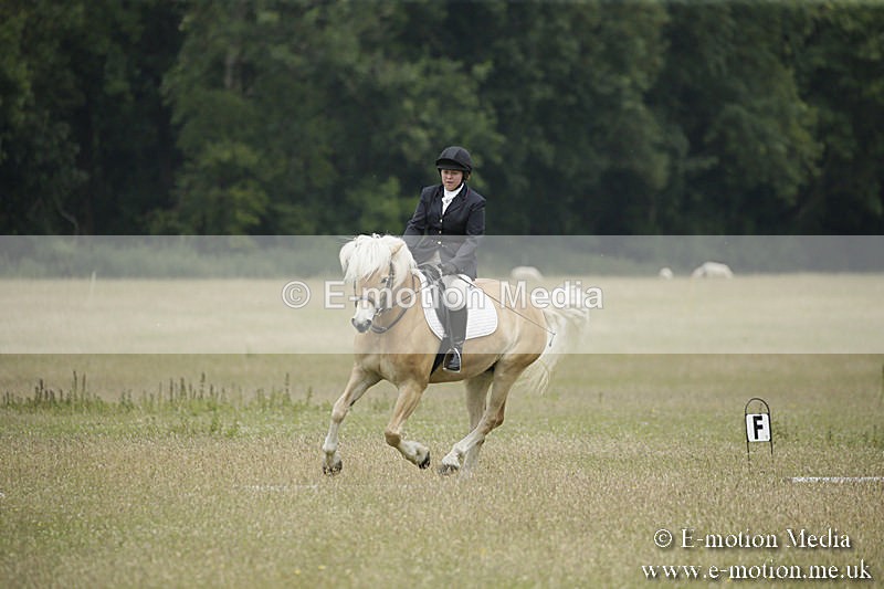 B230619-0603 - Bourne Valley Riding Club Summer Show 23/06/19