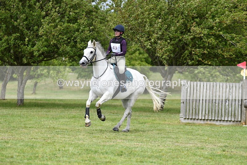 WJ5_3900 - Class 6 80cm