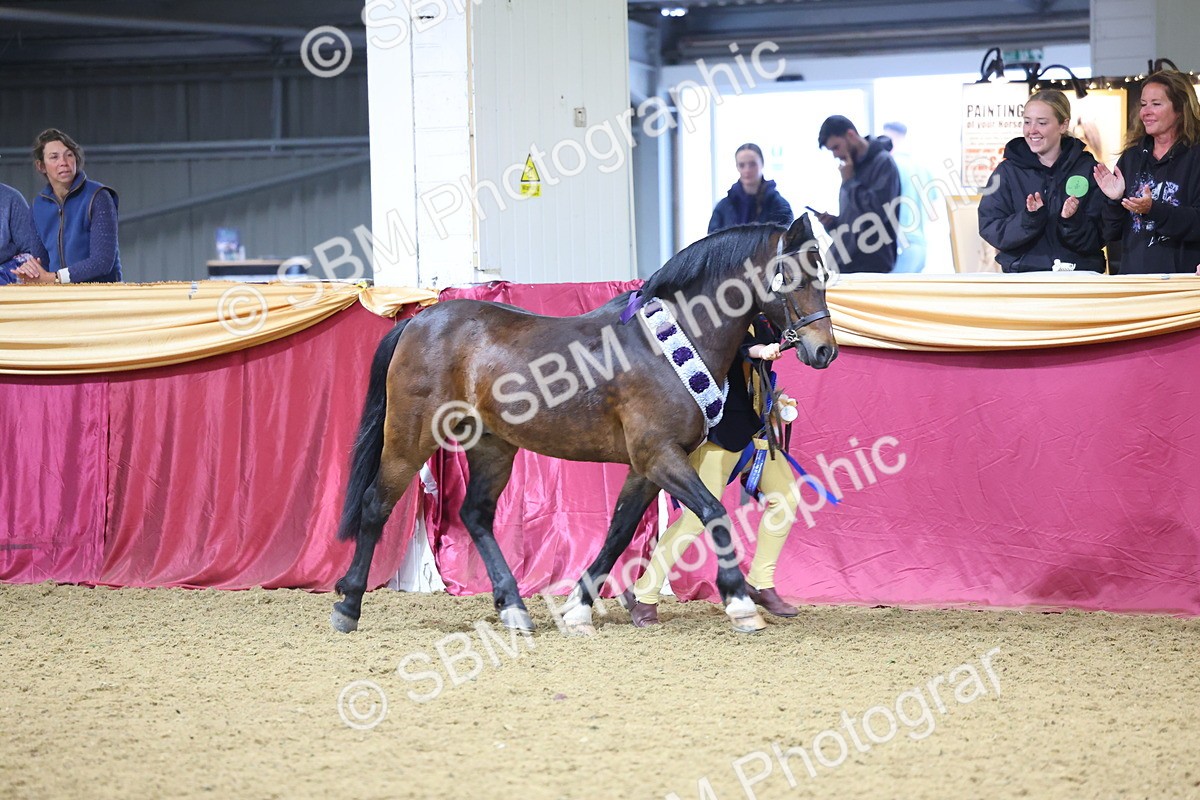 SBM_18610 - Class B Junior Champ 11-16 years