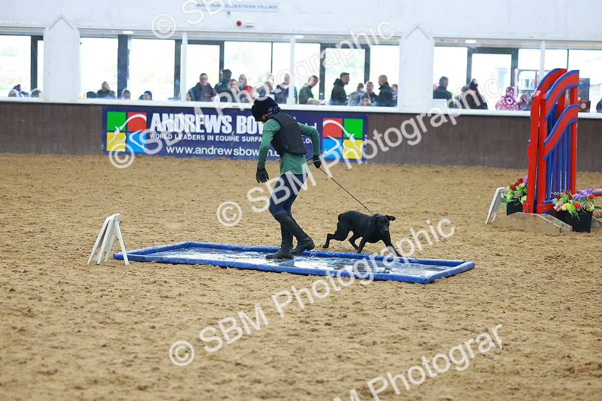 SBM_002406 - Class 3 - Horse & Hound (60cm)