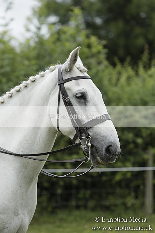 BVR160717-2390 - Side Saddle Classes 16/07/17