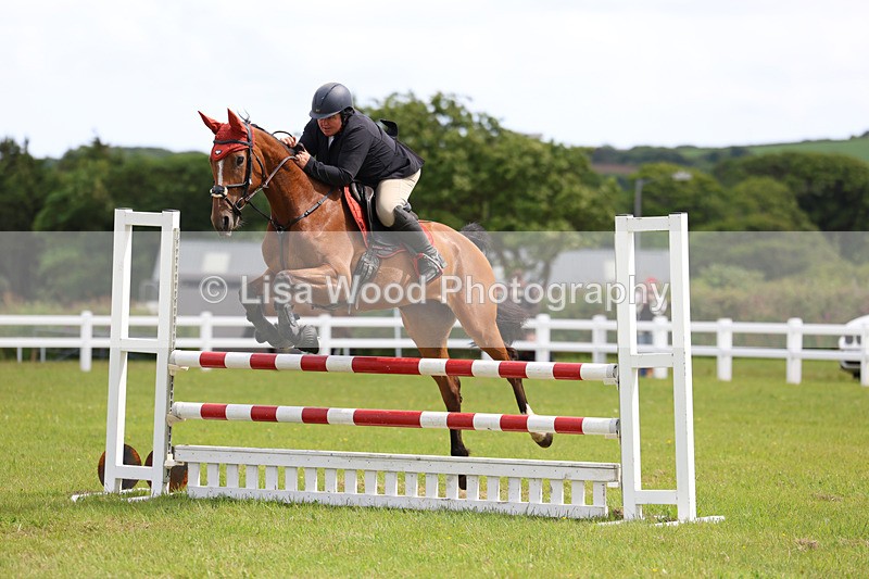 3E7A7732 - Class 13: Senior British Novice/90cm open
