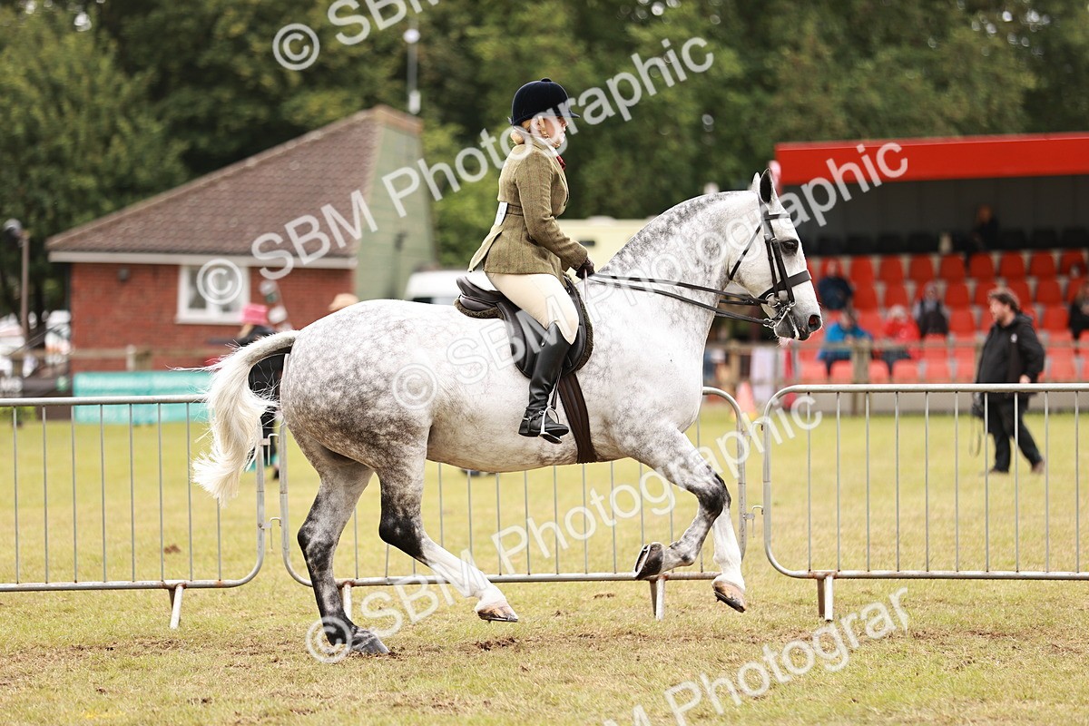 SBM_13010 - Class 85-87 - RIHS Cobs