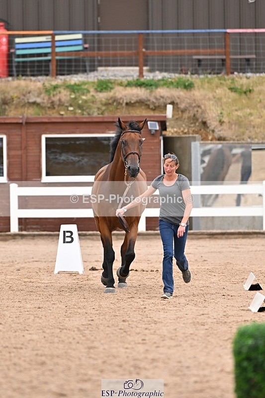 250716-154941-02200 - Trot Up 3.30 to 4.30