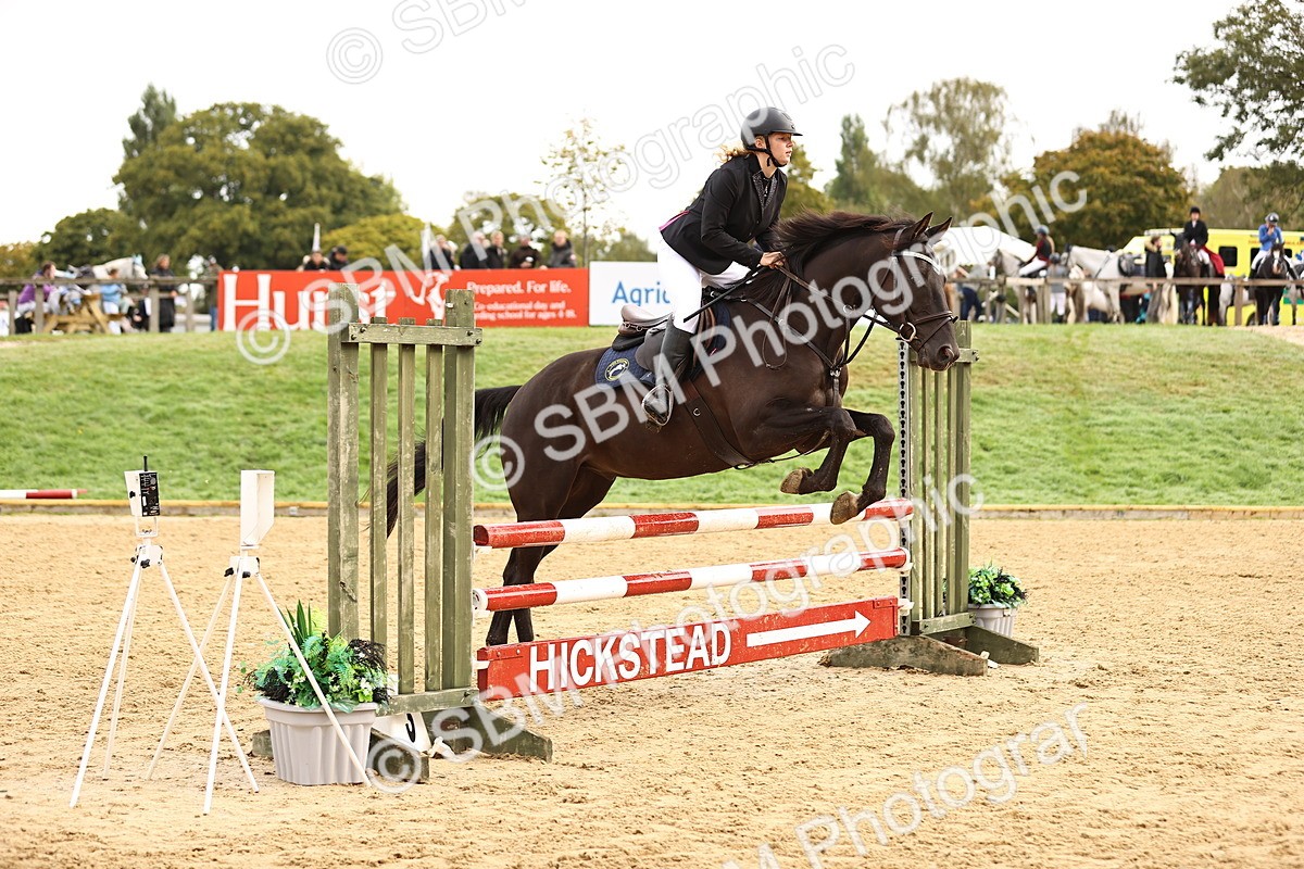 SBM_58469 - J41 - Grand Tour Horse & Pony 95cm