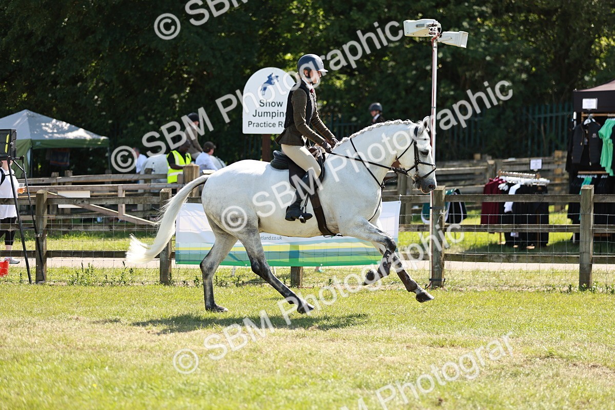SBM_18456 - Class 112-113 - BSPS LIHS Working Sports Pony
