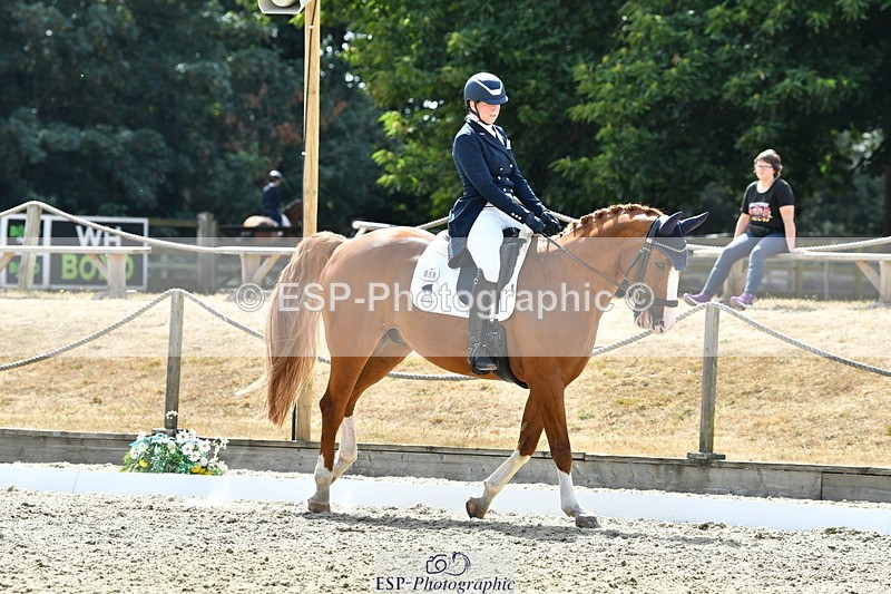 260802A-151847-07364 - Intermediate Bronze