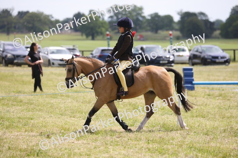 20260614-1904 - Class 21 - Novice Working Hunter Pony