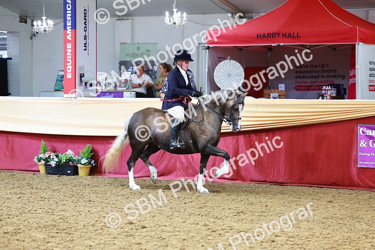 SBM_23221 - Class 905 - Supreme Final - Ridden Veteran