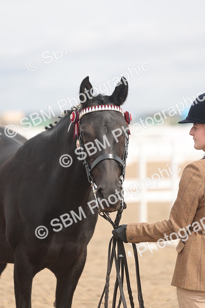 SBM_05015 - Class 20 - IH Veteran